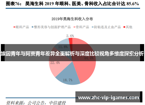 埃因青年与阿贾青年差异全面解析与深度比较视角多维度探索分析