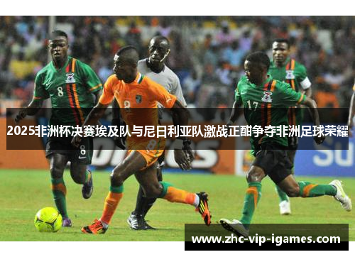 2025非洲杯决赛埃及队与尼日利亚队激战正酣争夺非洲足球荣耀
